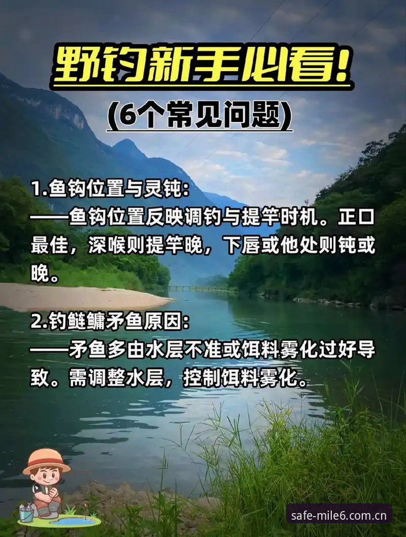 资深用户教你识别米乐M6钓鱼网站：我的安全登录实战经验